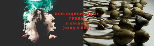 соль курить ск Каменногорск