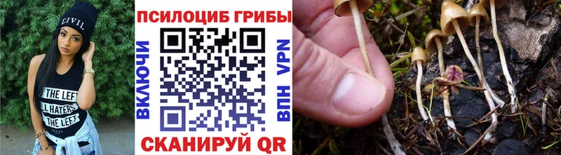 Купить где  Мончегорск  Псилоцибиновые грибы Psilocybine cubensis 